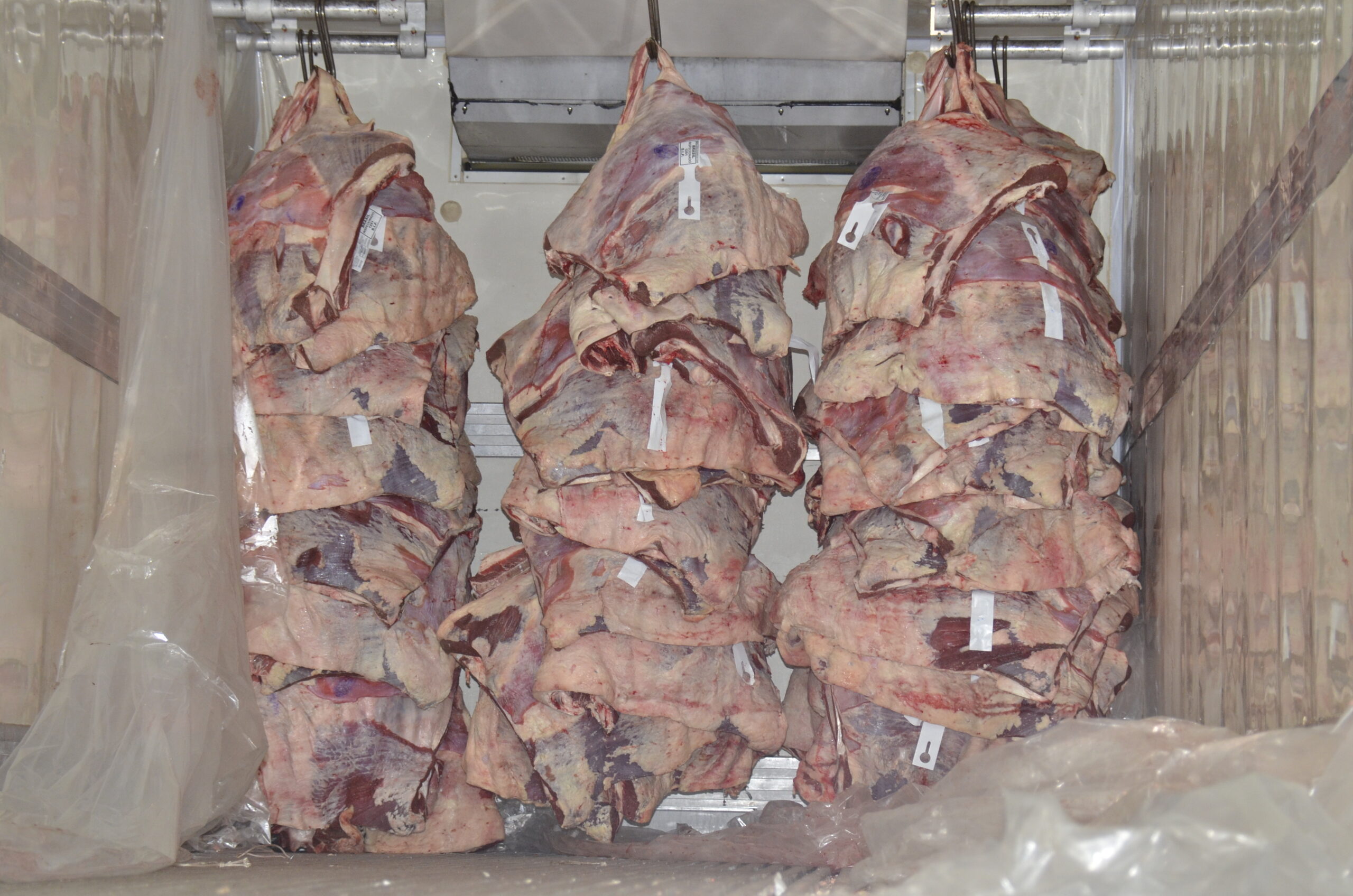 Viva Bem Ao Vivo Catve